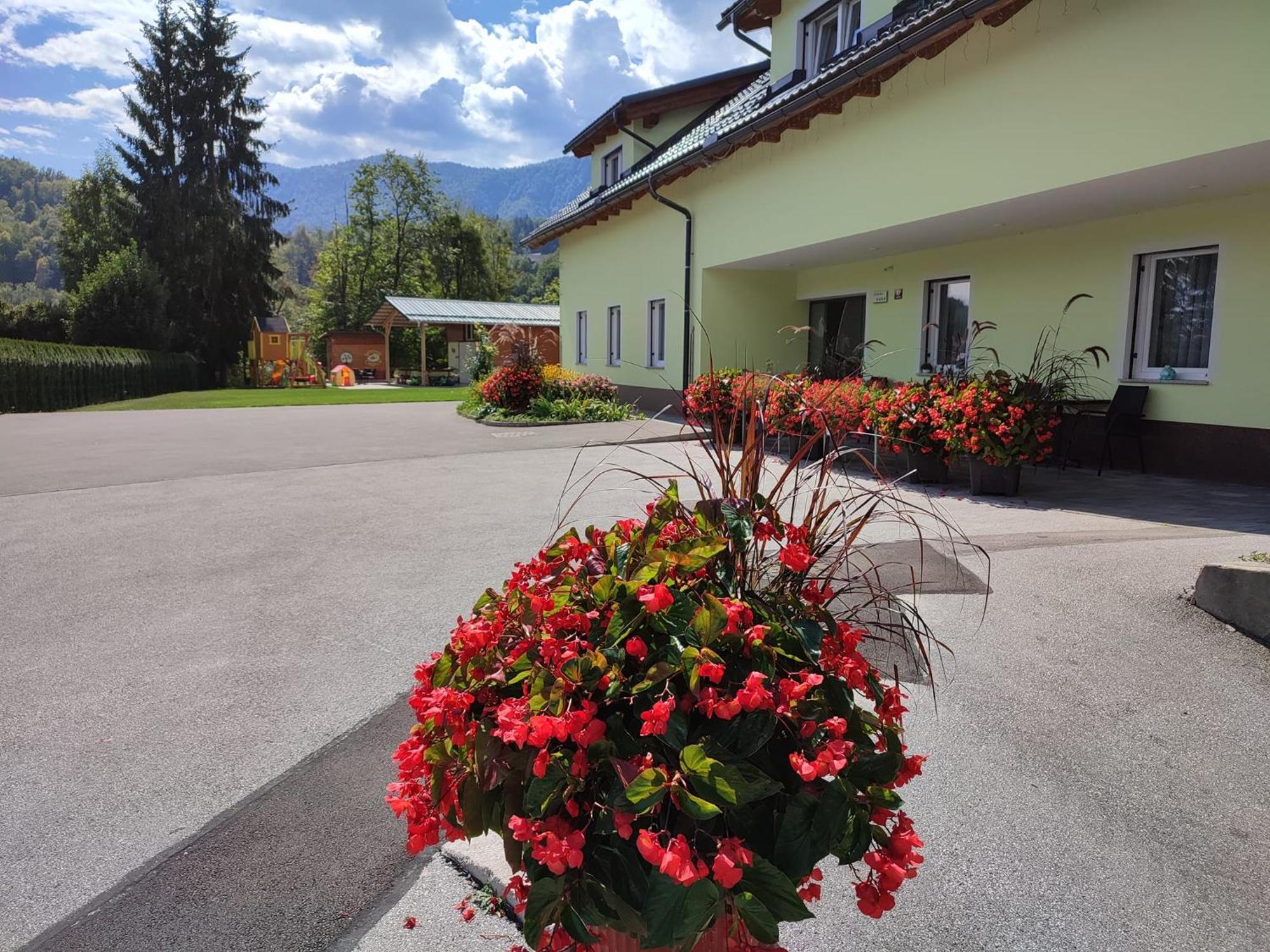 Apartments And Wellness Jelovca Радовлица Екстериор снимка