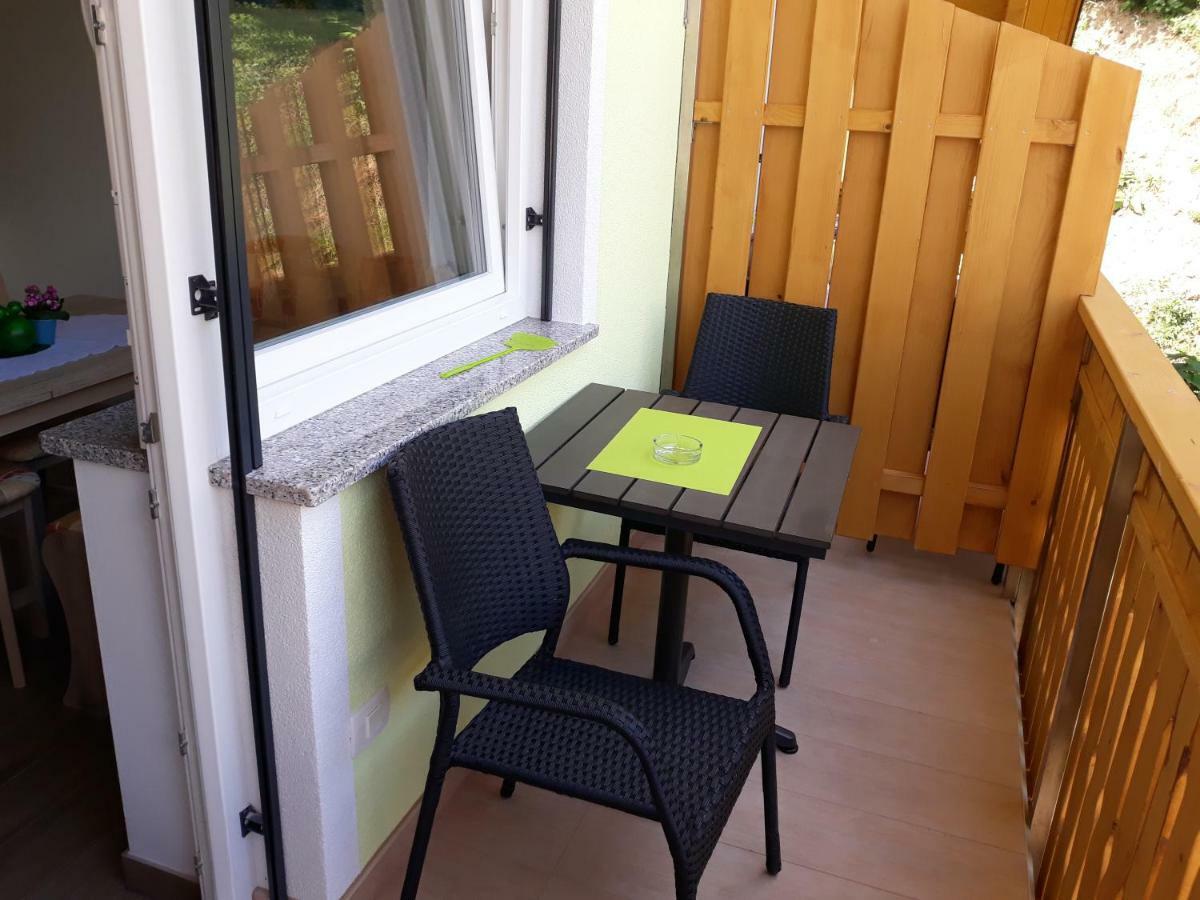 Apartments And Wellness Jelovca Радовлица Екстериор снимка